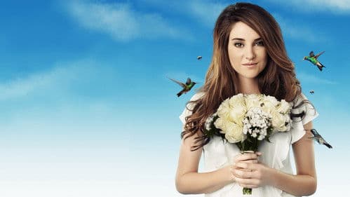 The Secret Life of the American Teenager Bild 5