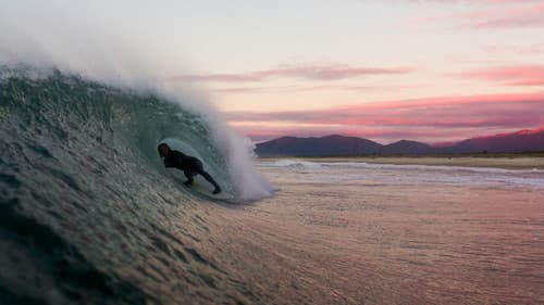 Lost Track New Zealand Bild 1