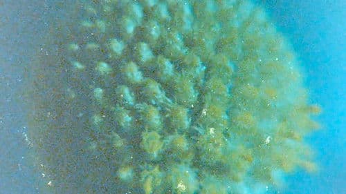 Late Anthropocene Bild 1