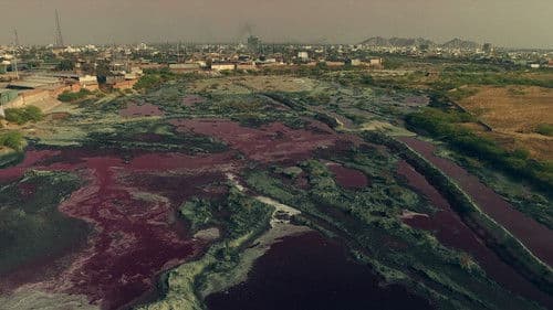 The Atlas of False Desires Bild 1