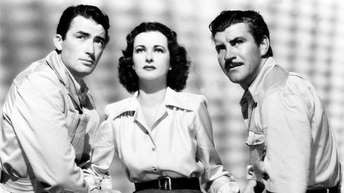 Die Affäre Macomber Bild 2