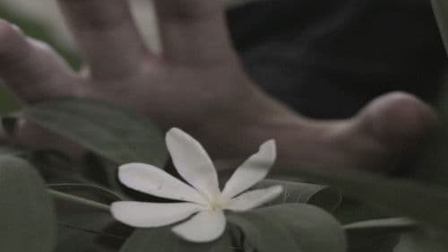 שעון חול Bild 3