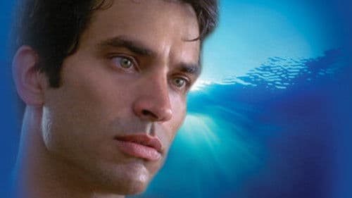 Sea of Dreams Bild 4