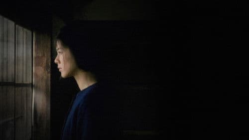 Das Licht der Illusion Bild 2