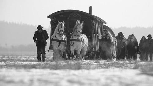 Papusza - Die Poetin der Roma Bild 2