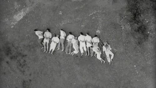 Ђурђевак црвени Bild 1