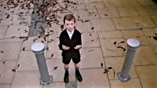 Visiting Mr Beak Bild 1