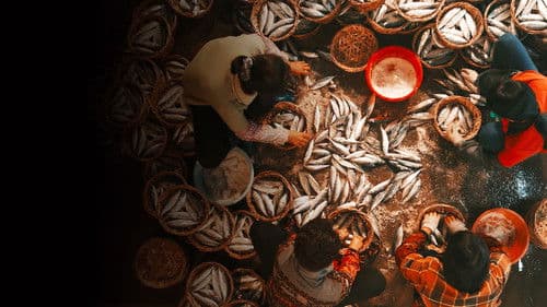 Die Wurzeln des Geschmacks Bild 8