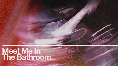 Meet Me in the Bathroom Bild 3