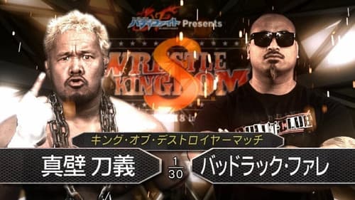 NJPW Wrestle Kingdom 8 Bild 5