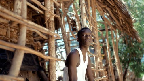 Echoes of Lamu Bild 5