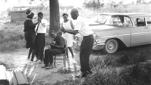 Shake 'Em On Down Bild 1