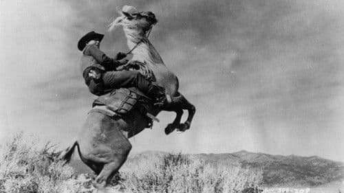 Weiße Banditen Bild 6