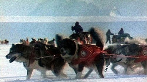 Au Sud du Sud Bild 3