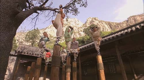 Qi Xiao Luo Han Bild 1