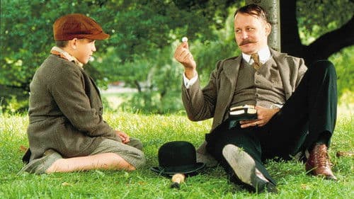 Die Steinschleuder Bild 1