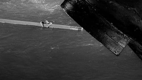 Die unglaubliche Geschichte des Mister C. Bild 6