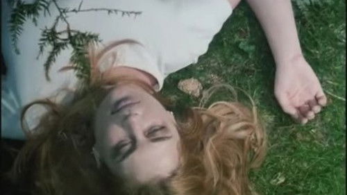 Strawberry Spring Bild 1