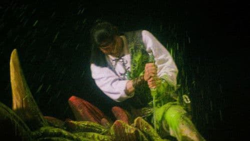 Madra ...das achtköpfige Drachenmonster Bild 6