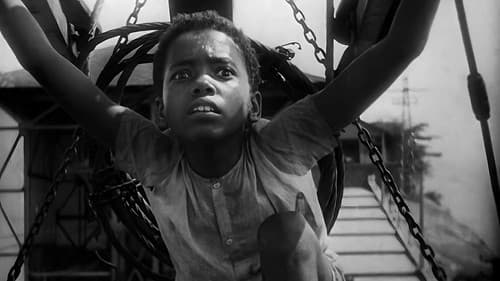 Rio, 40 Graus Bild 5