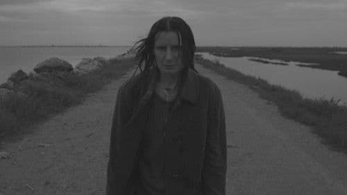 Κοινός τόπος Bild 1