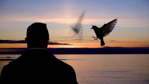 The Secret Life of Tom Lightfoot Bild 4