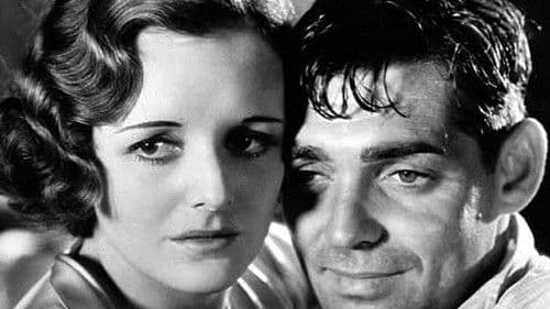 Dschungel im Sturm Bild 6