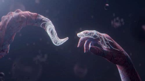 LIFE BEYOND: Visions of Alien Life Bild 1