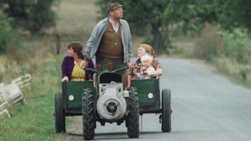 Das Wildschwein ist los Bild 1