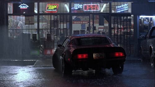 Karen McCoy - Die Katze Bild 5