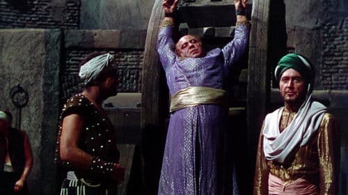 Der Wüstenfalke Bild 7