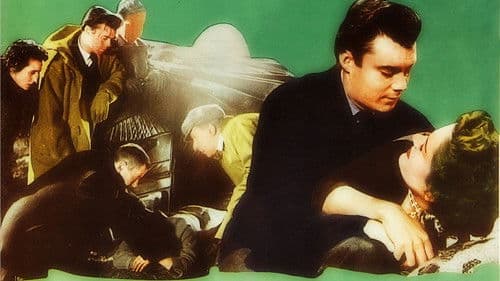 Der schlafende Tiger Bild 2