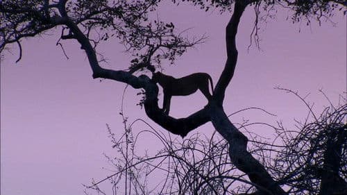 Predator's Playground Bild 1