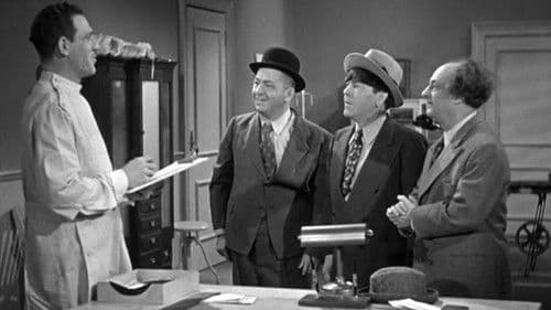 Monkey Businessmen Bild 1