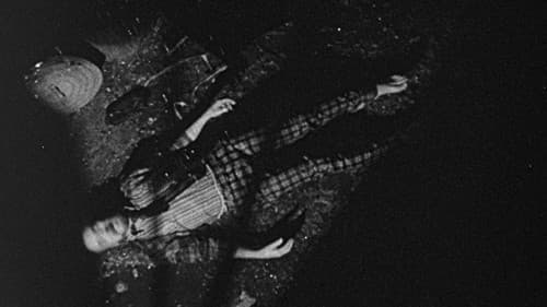 Bugs Without Morals Bild 1