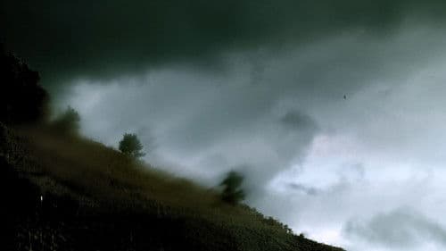 Vanishing before the Inner Eye Bild 2