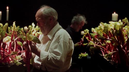 Grown in Darkness Bild 1