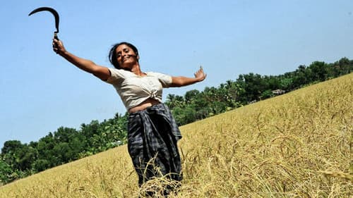 വസന്തത്തിന്റെ കനൽവഴികളിൽ Bild 1