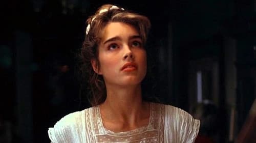 Endlose Liebe Bild 7