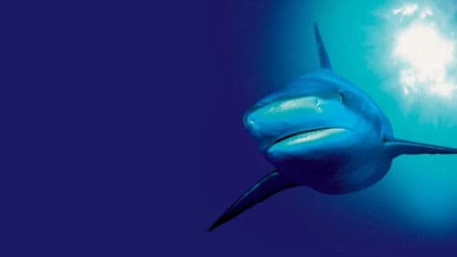 Unser blauer Planet Bild 3