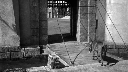 Francis in the Haunted House Bild 5