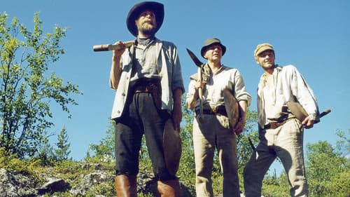 Lapin kullan kimallus Bild 1