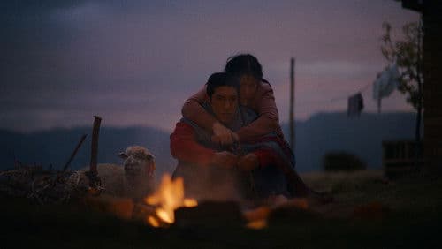 Ovejas y lobos Bild 1