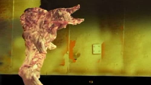 The Pig Walks Bild 2