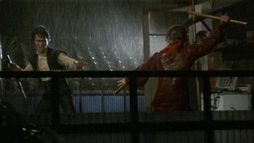 女必殺拳　危機一発 Bild 1