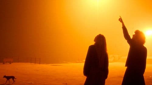 Надо снимать фильмы о любви Bild 5