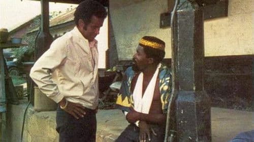 Countdown at Kusini Bild 1