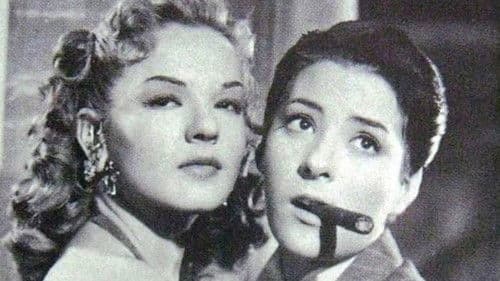 Yo soy muy macho Bild 3