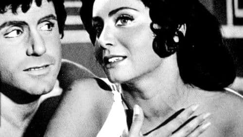 Bianco, rosso, giallo, rosa Bild 2