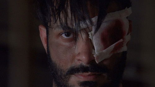 Cavalo do Cão Bild 2